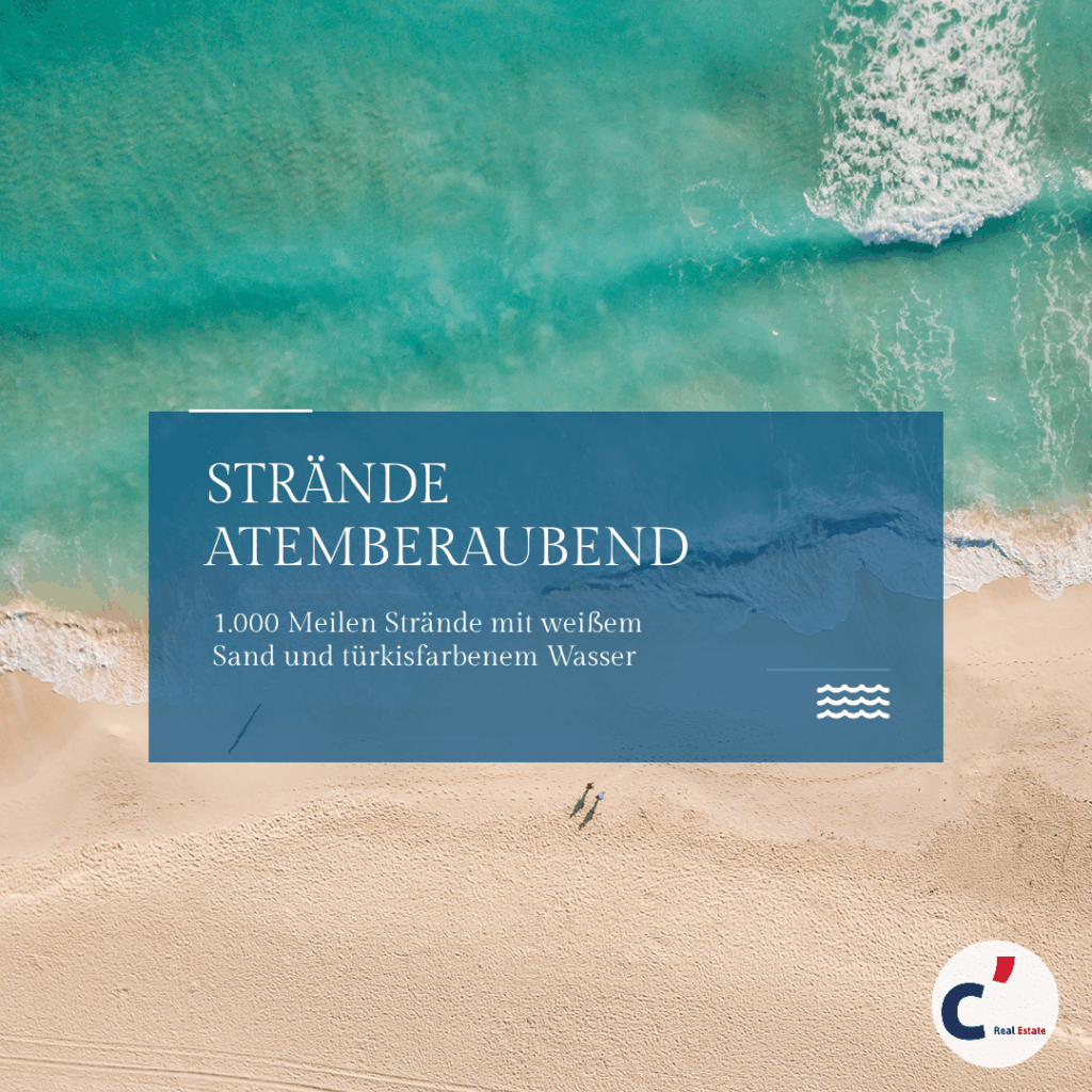 Perche_investireRD_Pagina_8_aleman