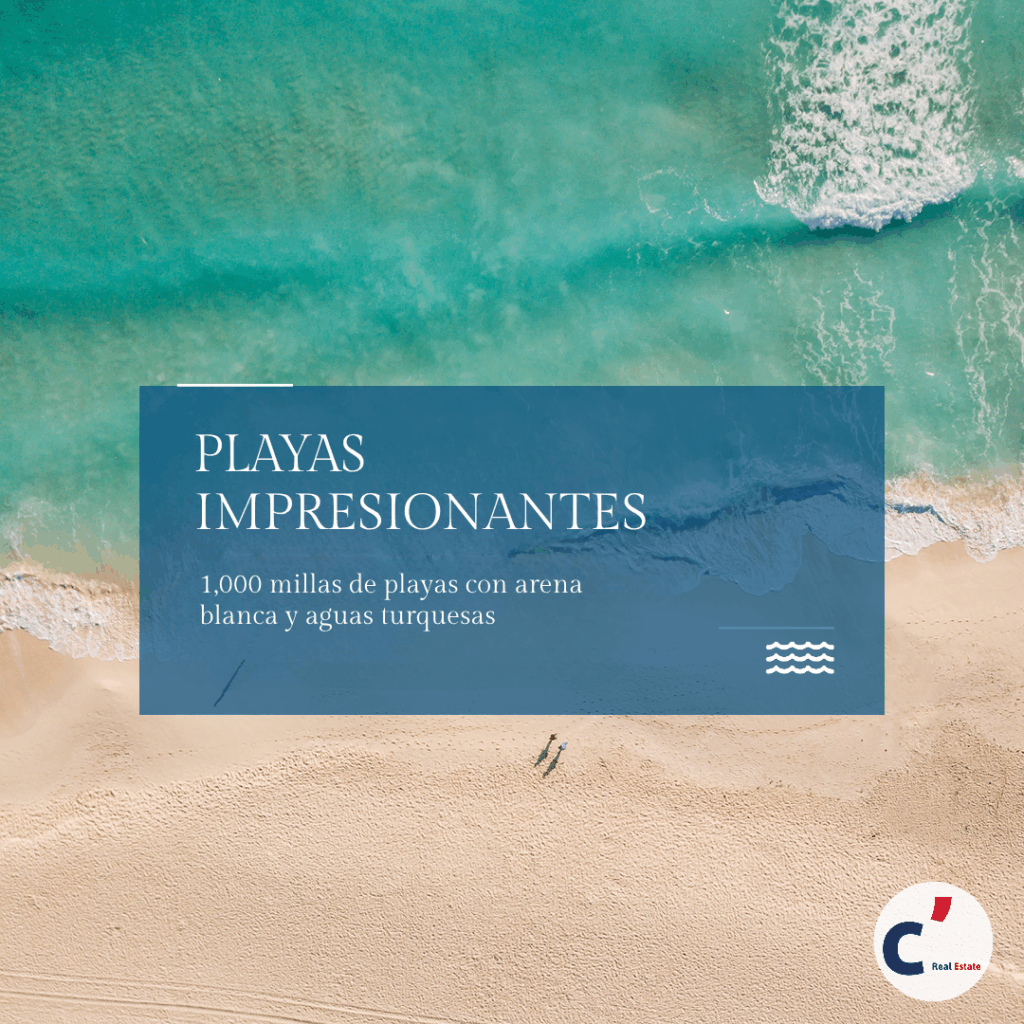 Perche_investireRD_Pagina_8_español