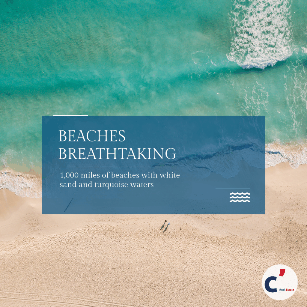 Perche_investireRD_Pagina_8_ingles